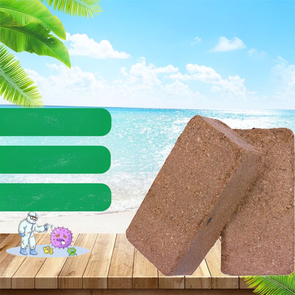 Substrate Coconut Fiber - Premium gedroogde kokosvezelblokken, een hoogwaardige bodemmix
