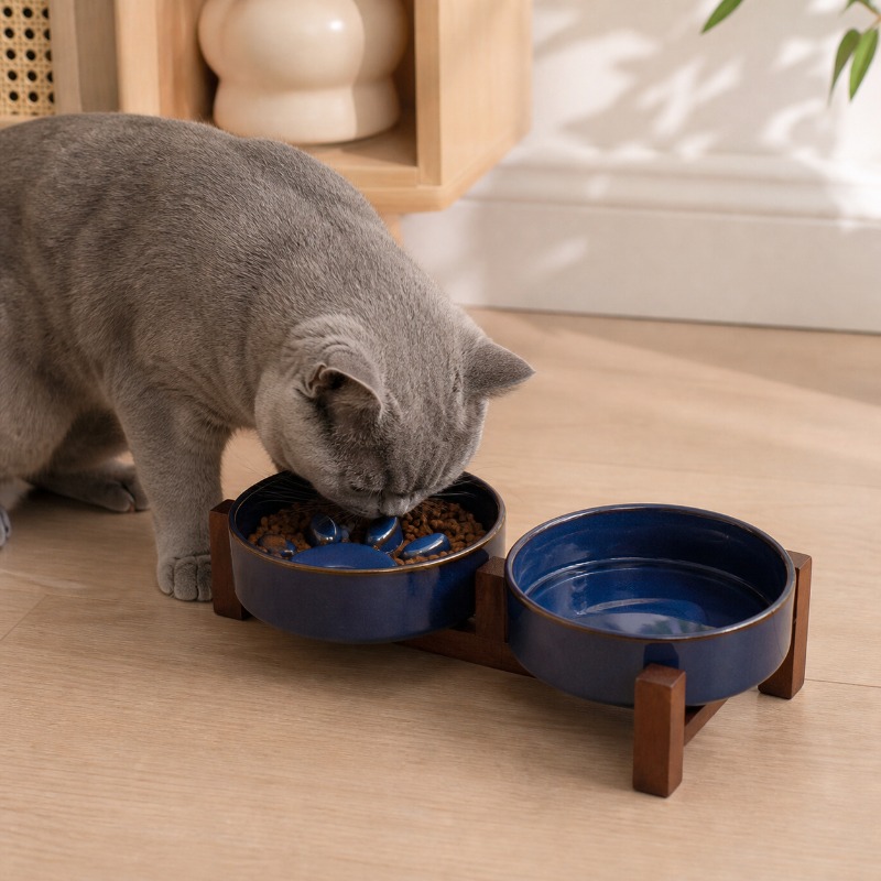 2027 Japanse stijl keramische  - Royal Canin Food Medium recensie en prijs
