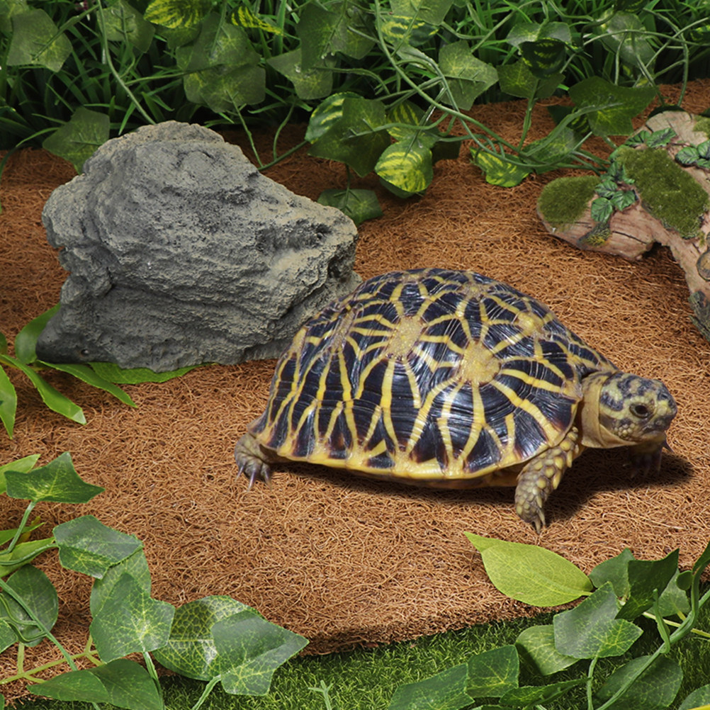 Reptielenbedding van natuurlij - Substrate Coconut Fiber recensie en prijs