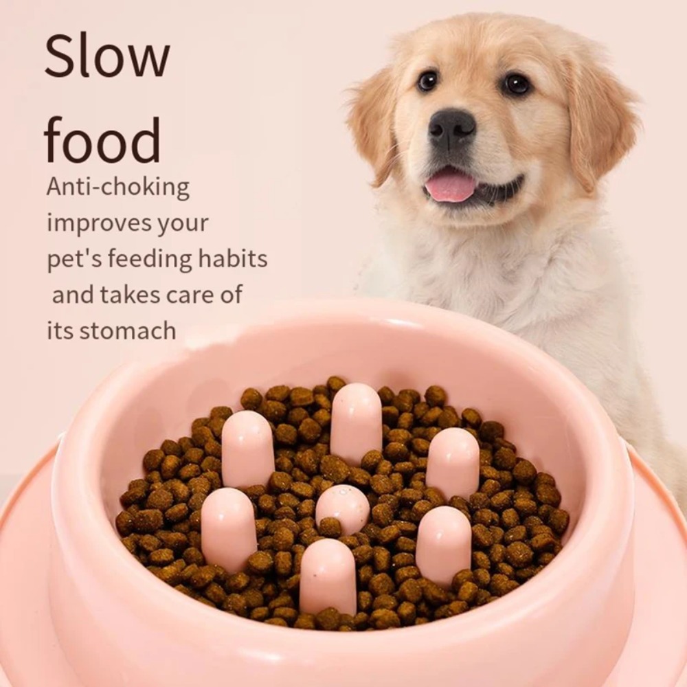 Slow Feeder-bak voor honden, l - Royal Canin Food Medium recensie en prijs